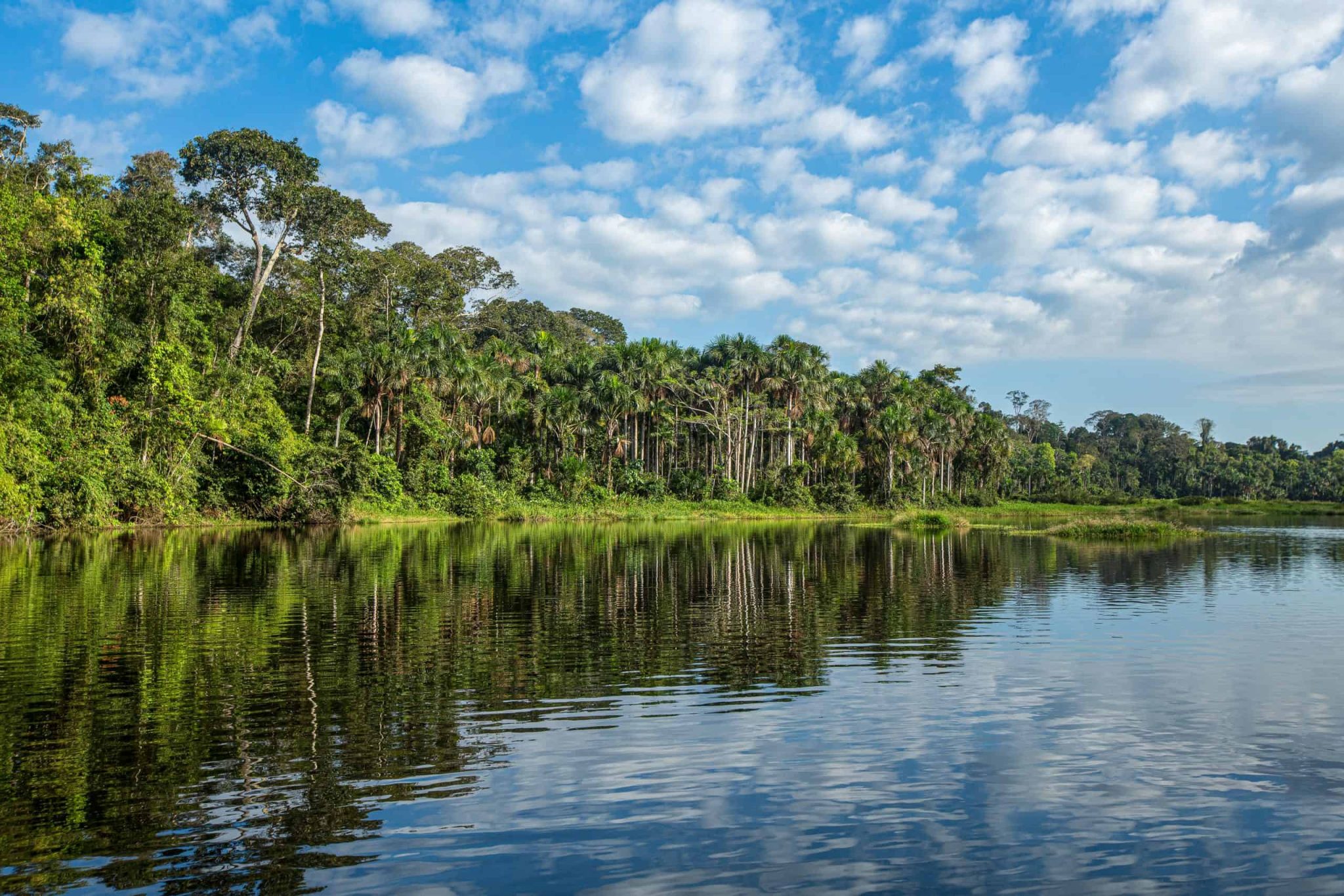 Expedicion Tambopata 4 Days / 3 Nights