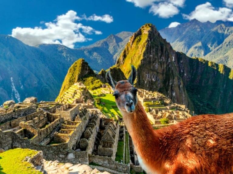 Machu Picchu