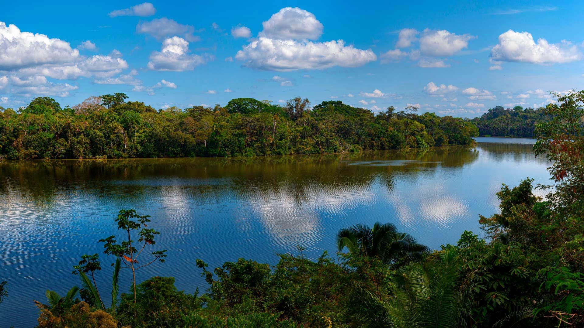 Tambopata Zona Reservada 2 Days / 1 Night